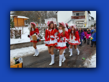 Umzug 2010 34.jpg